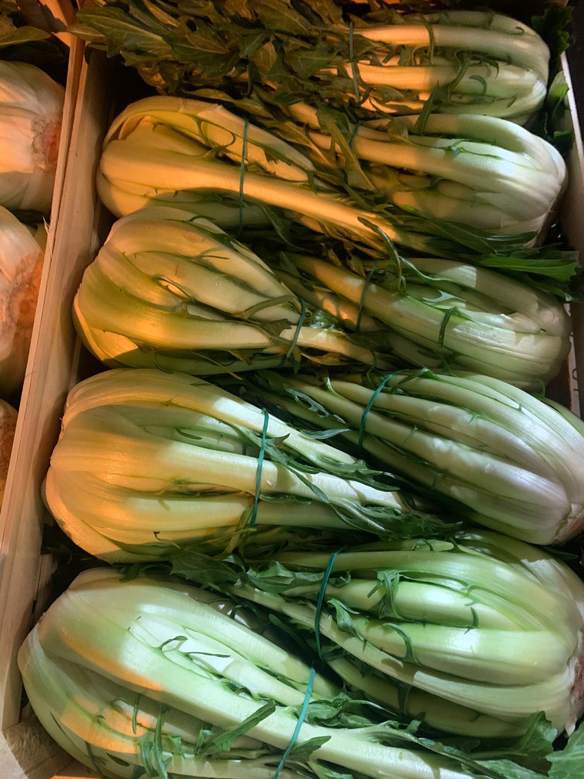 Puntarella